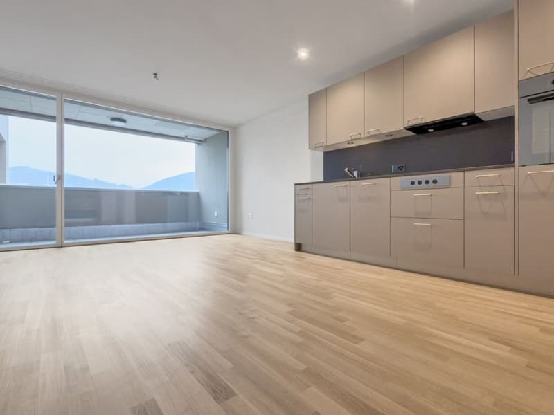 Cham | Modern 1.5-Room Apartment with Large Terrace & Parking | CHF 2'450 (3)