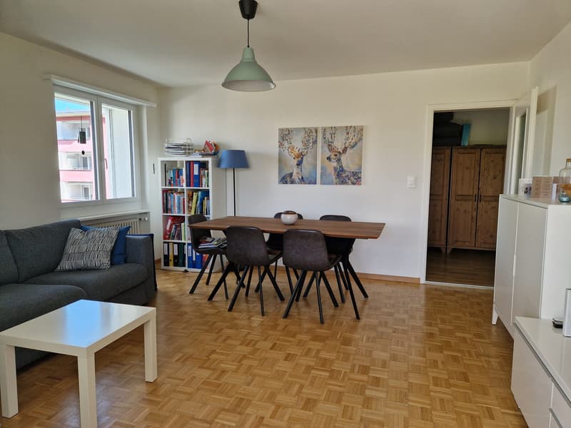 2 Zimmer-Wohnung, 8610 Uster (4)