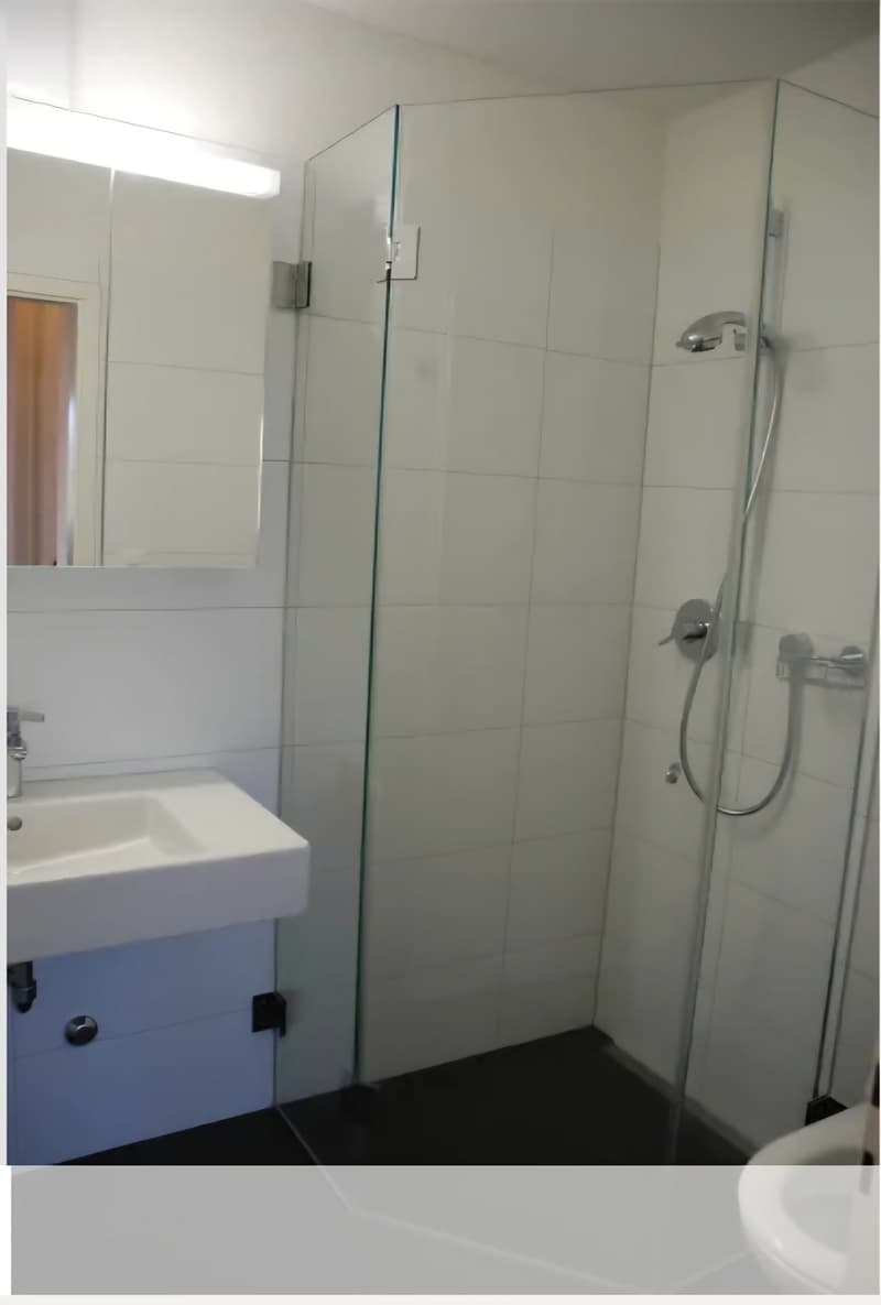 2 Zimmer-Wohnung, 8610 Uster (6)