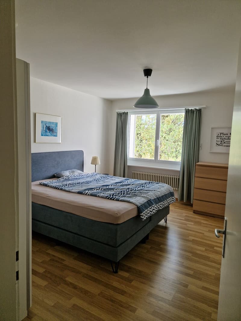 2 Zimmer-Wohnung, 8610 Uster (1)