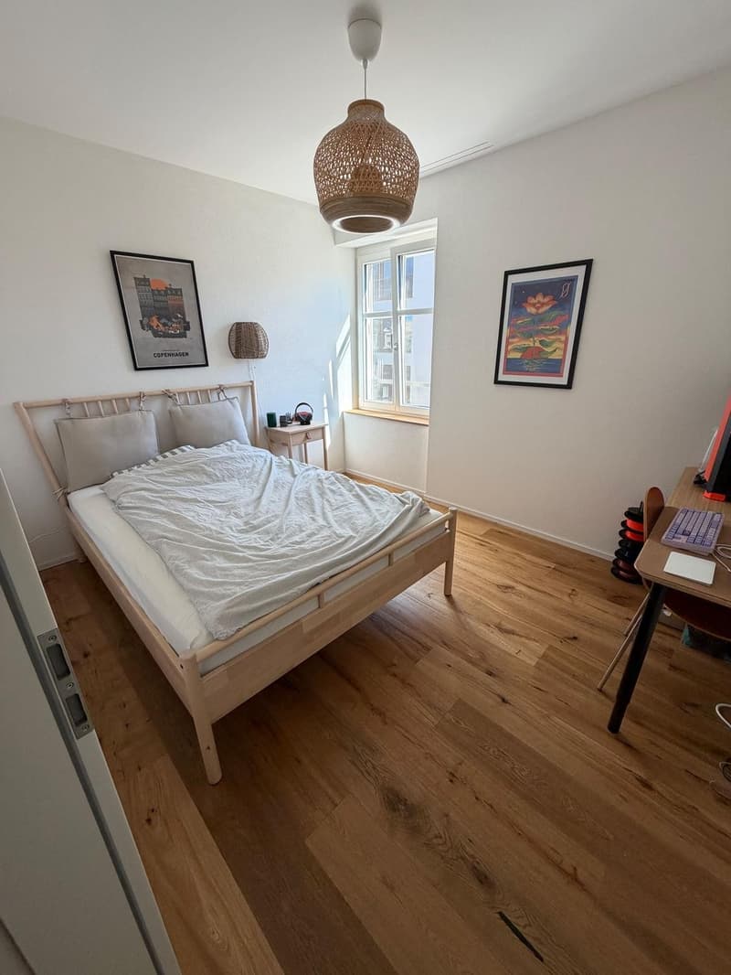 Charming Newly Renovated 2.5-Bedroom Apartment In Basel-Matthäus (3)