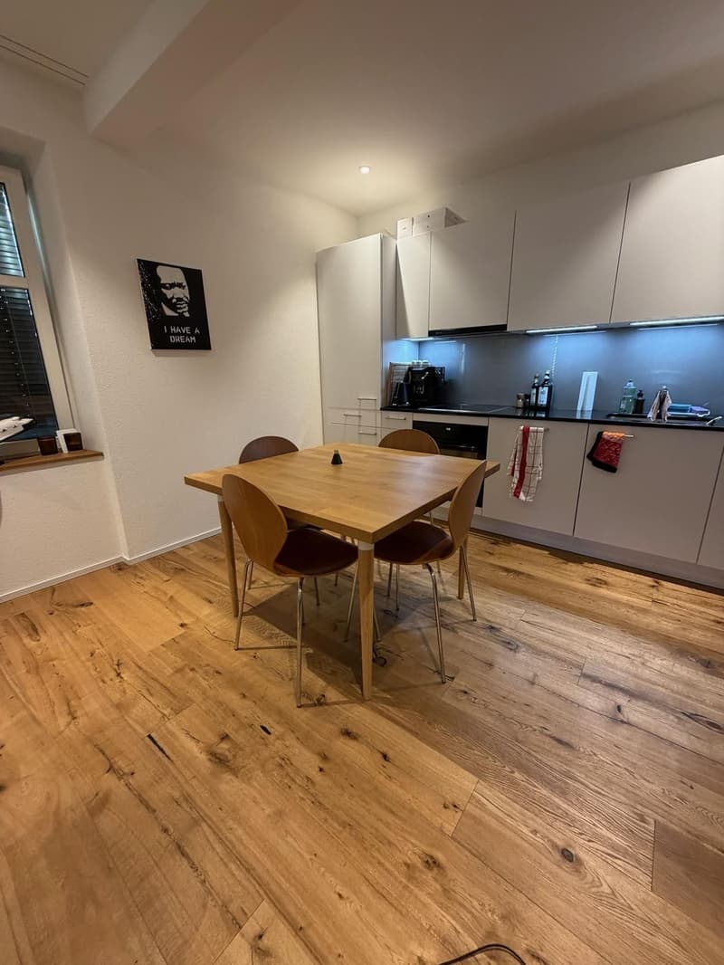 Charming Newly Renovated 2.5-Bedroom Apartment In Basel-Matthäus (2)