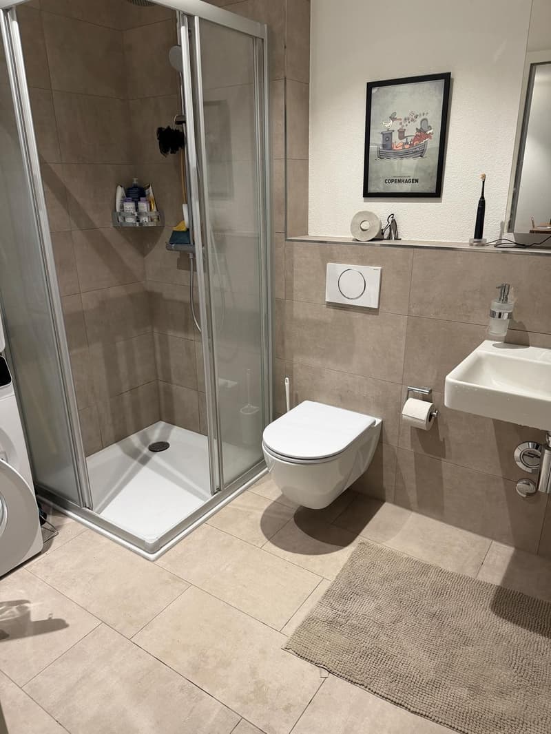 Charming Newly Renovated 2.5-Bedroom Apartment In Basel-Matthäus (4)