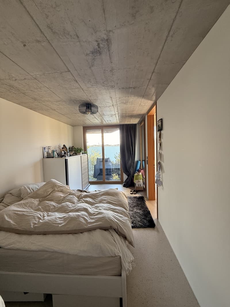 WG-Zimmer in 4.5er Neubau Wohnung, nähe Bucheggplatz (2)