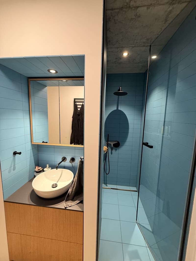 WG-Zimmer in 4.5er Neubau Wohnung, nähe Bucheggplatz (3)