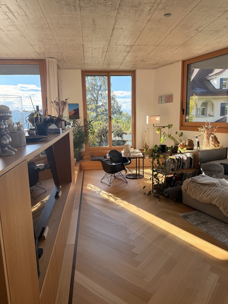 WG-Zimmer in 4.5er Neubau Wohnung, nähe Bucheggplatz (5)