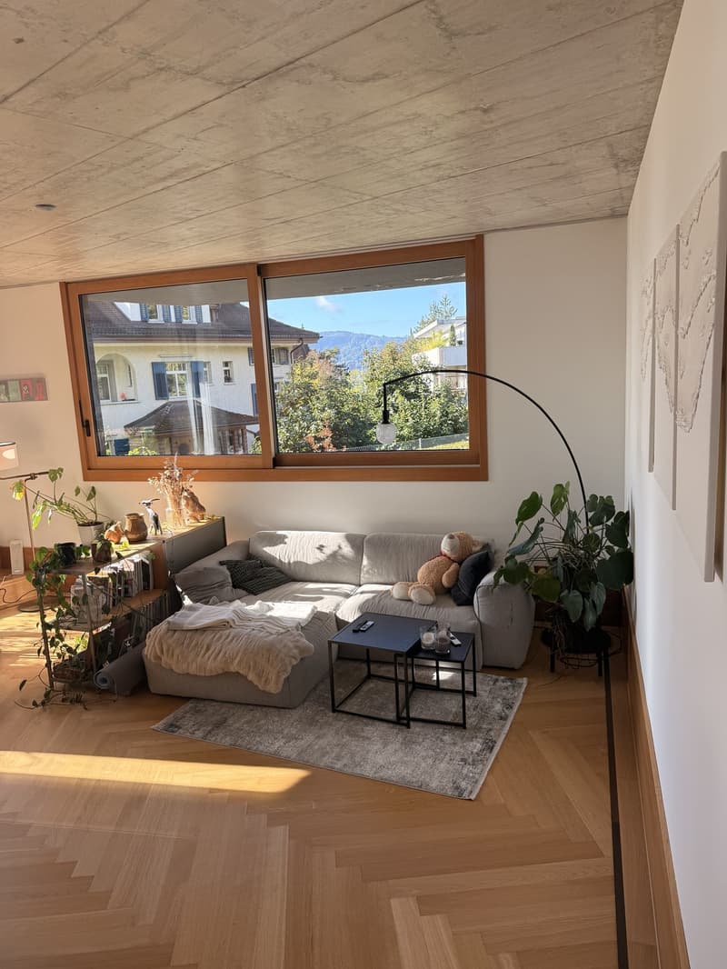 WG-Zimmer in 4.5er Neubau Wohnung, nähe Bucheggplatz (4)