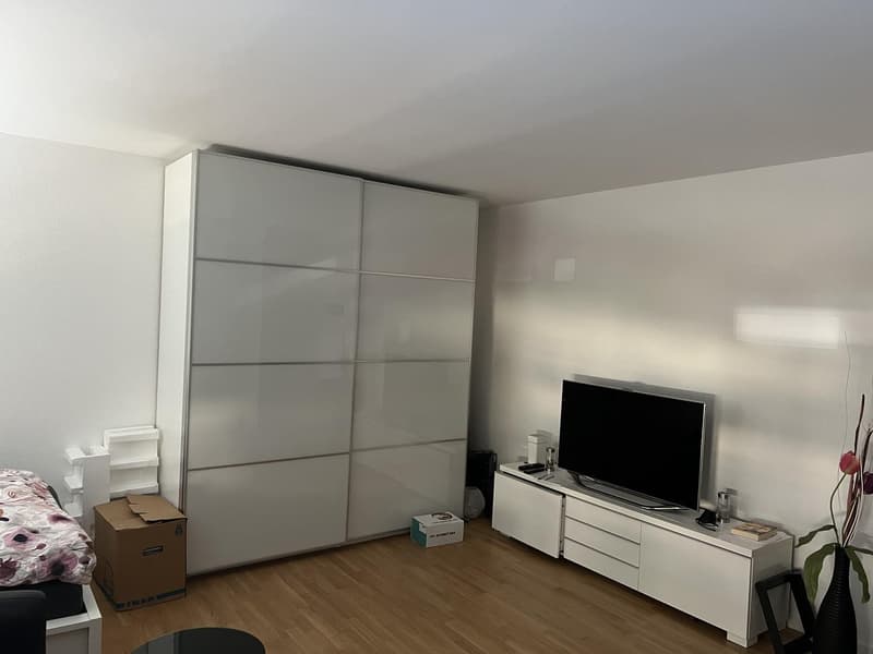 1 Zimmer Wohnung (1)