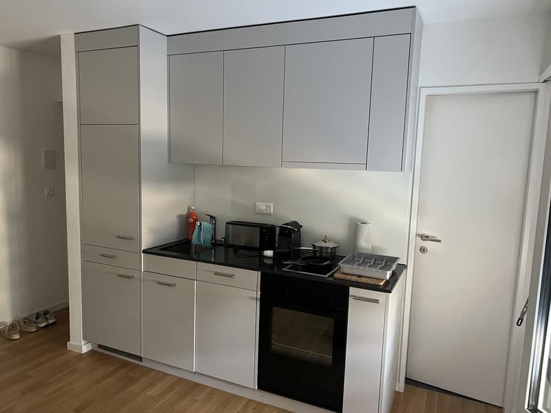 1 Zimmer Wohnung (4)