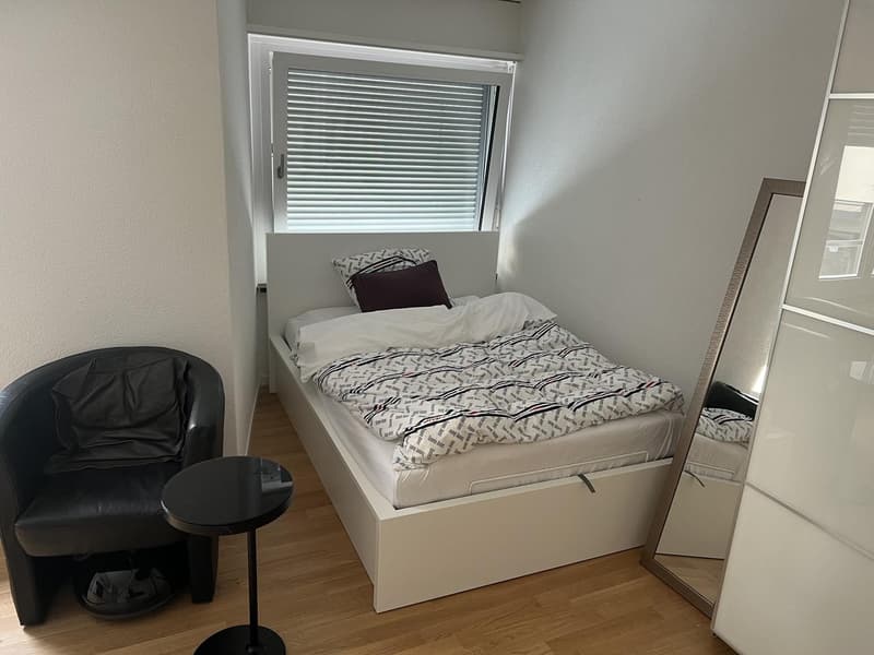 1 Zimmer Wohnung (5)