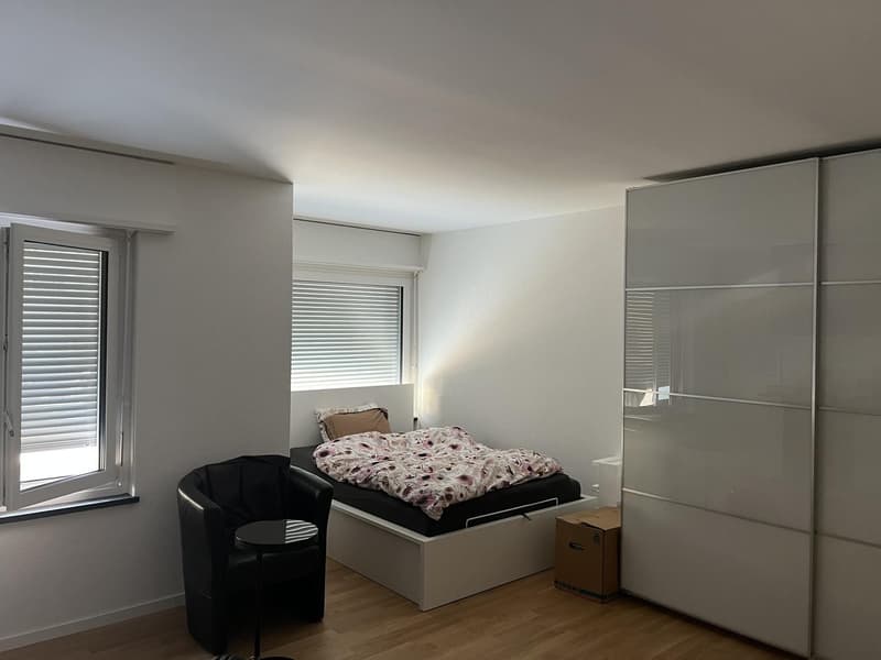 1 Zimmer Wohnung (3)