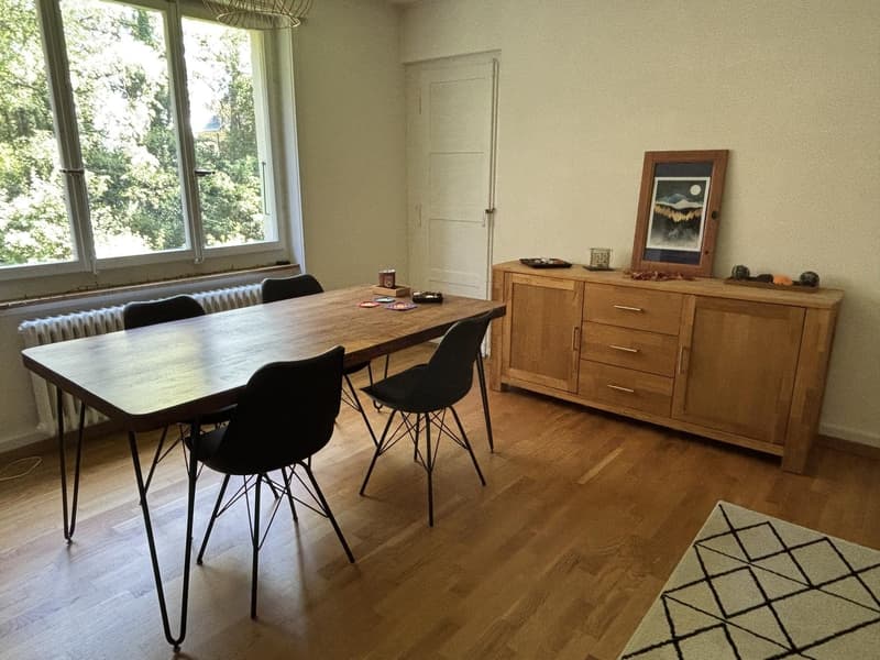 Gemütliche, zentrale 2-Zimmer-Wohnung mit Blick ins Grüne (2)
