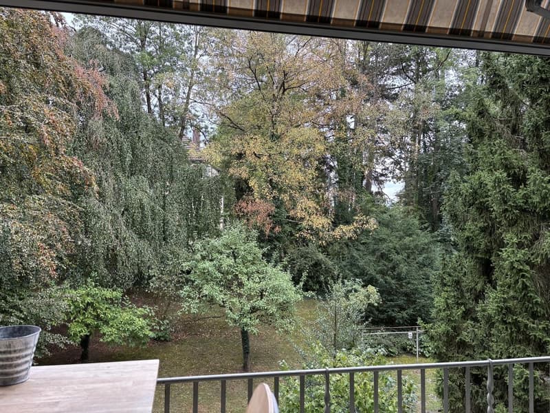 Gemütliche, zentrale 2-Zimmer-Wohnung mit Blick ins Grüne (11)