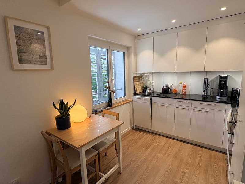 Newly renovated 1.5 studio (2)