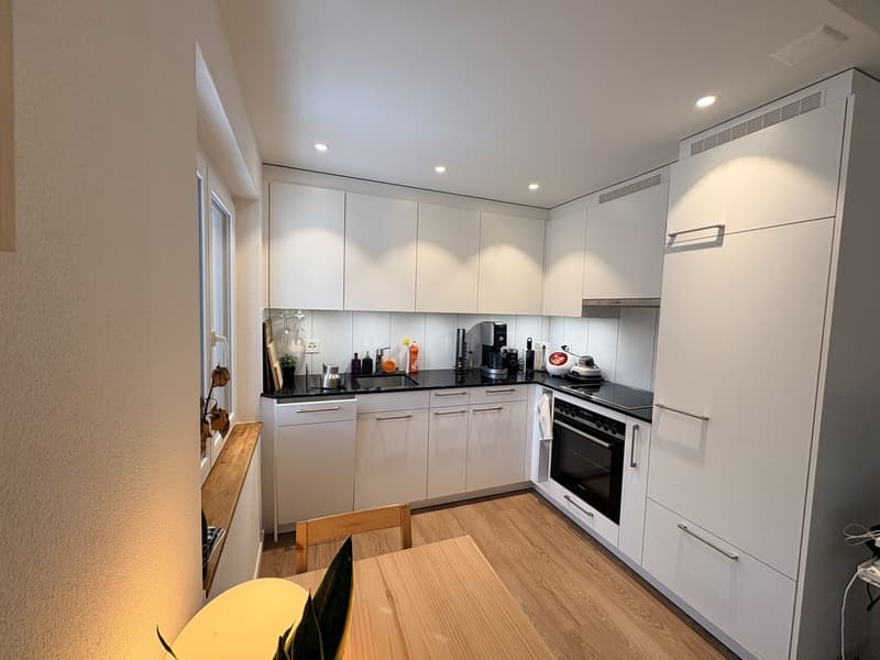 Newly renovated 1.5 studio (3)