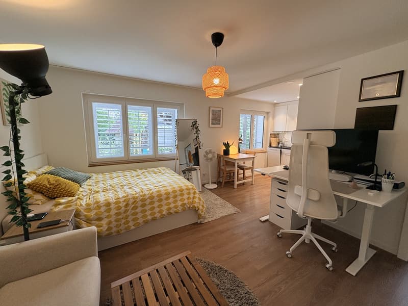 Newly renovated 1.5 studio (1)