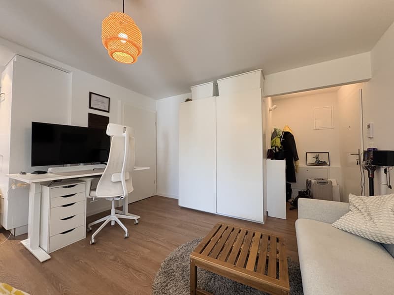 Newly renovated 1.5 studio (7)