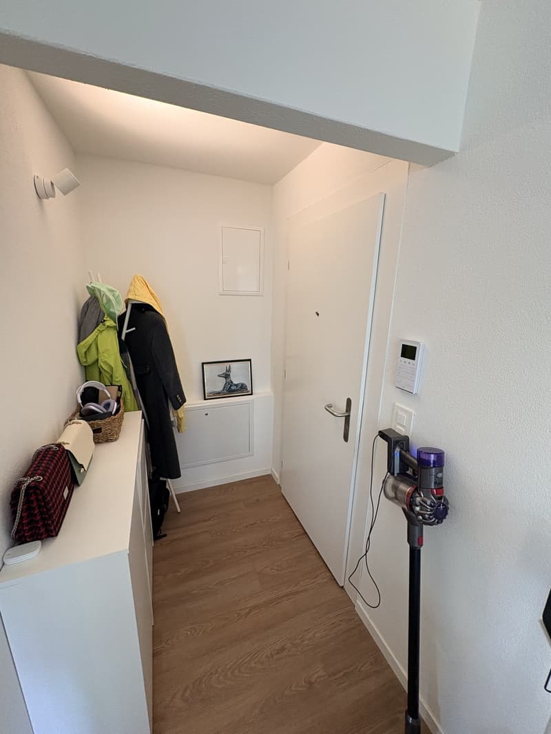 Newly renovated 1.5 studio (6)