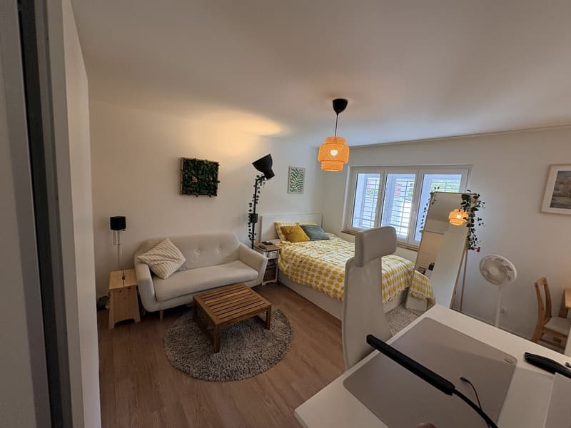 Newly renovated 1.5 studio (5)