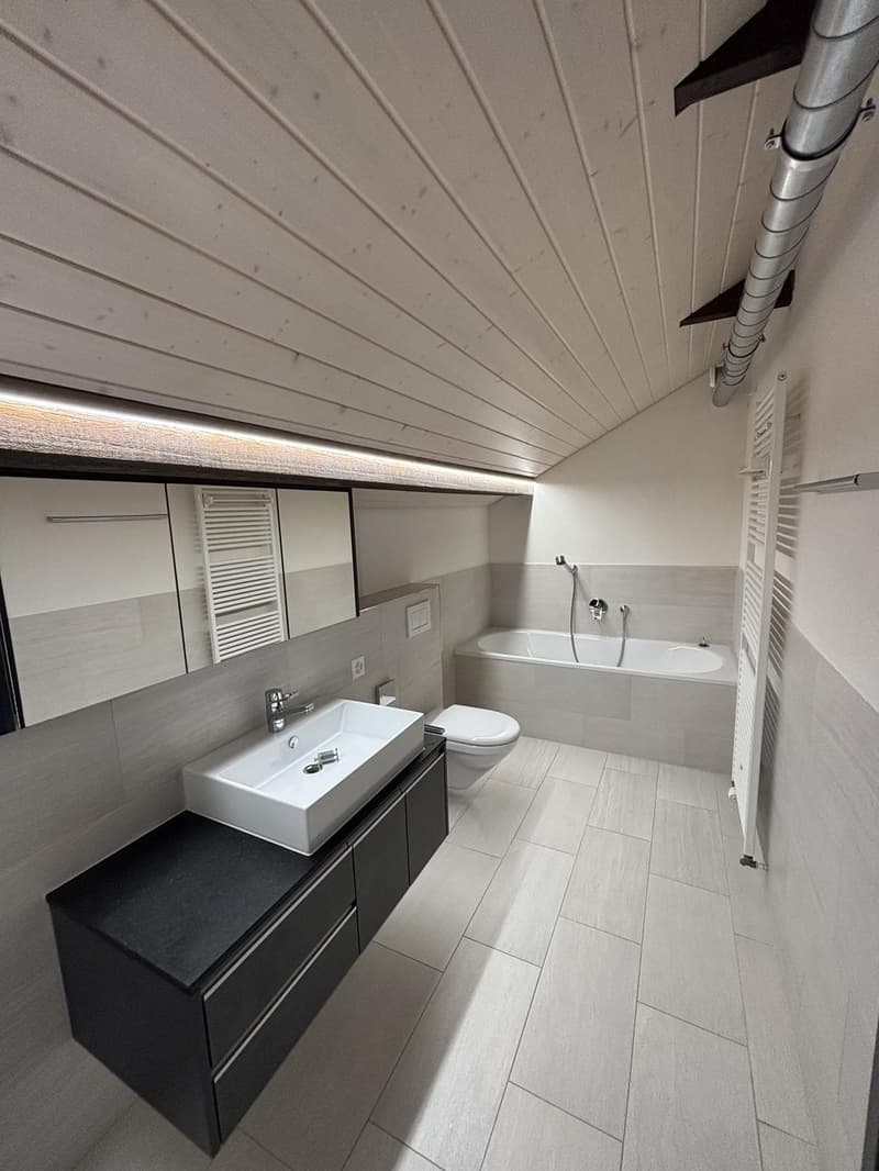 2.5 Room Apartment (3)
