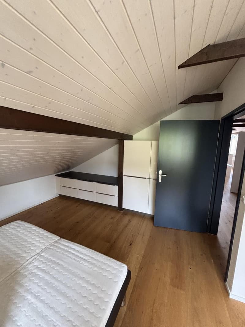 2.5 Room Apartment (2)