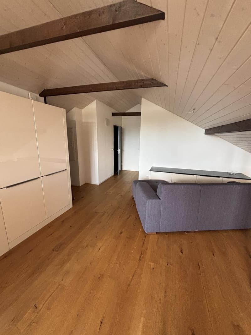 2.5 Room Apartment (4)