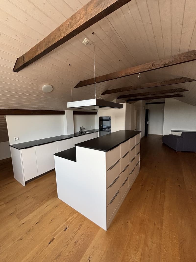 2.5 Room Apartment (1)