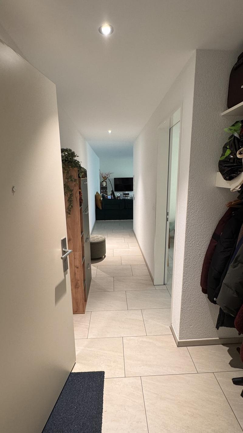 Modern 2.5 Apartment in Zürich Altstetten with Balcony (9)