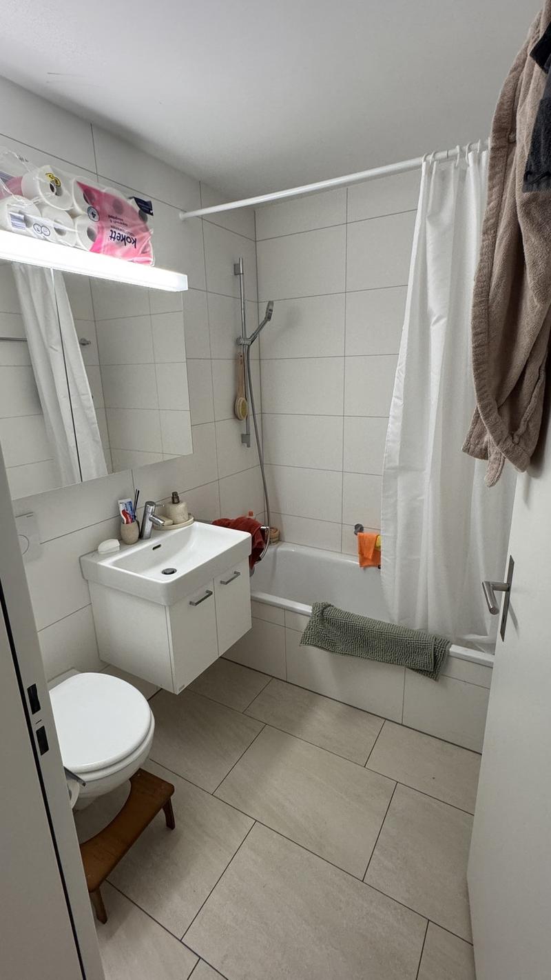 Modern 2.5 Apartment in Zürich Altstetten with Balcony (8)