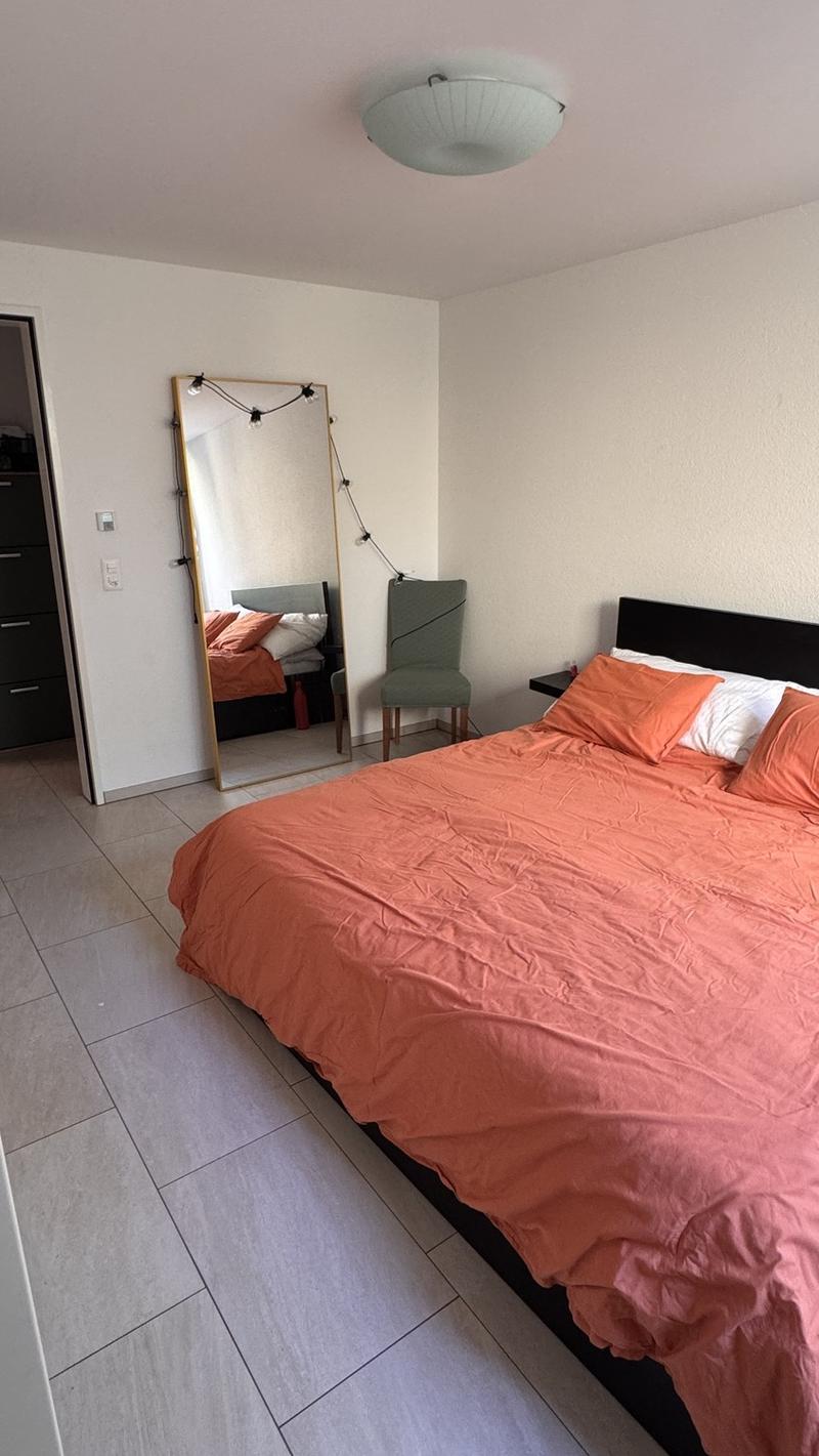 Modern 2.5 Apartment in Zürich Altstetten with Balcony (5)