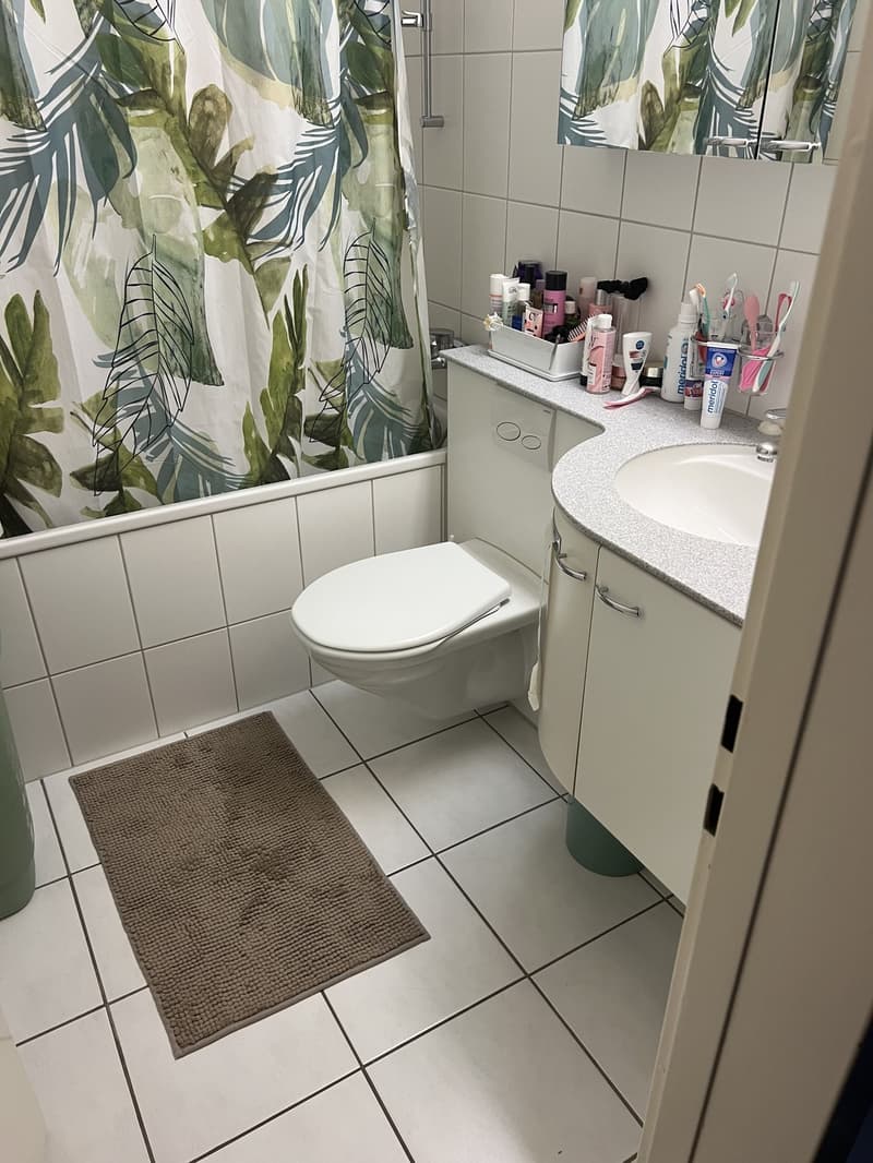 1 ½ Zimmer-Wohnung, 8953 Dietikon (1)