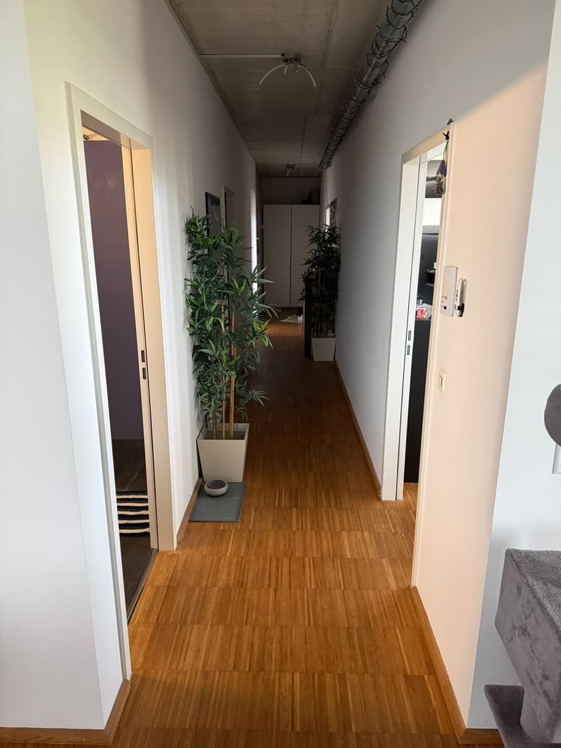 Grosszügige 3.5-Zimmer-Wohnung mit sonnigem Balkon in Regensdorf (3)
