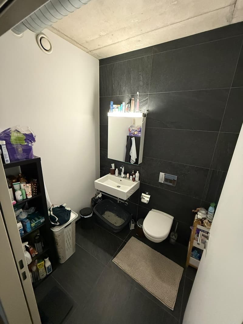 Grosszügige 3.5-Zimmer-Wohnung mit sonnigem Balkon in Regensdorf (2)