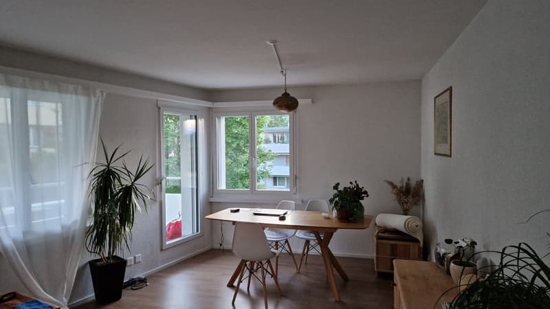 Nachmieter für zentral gelegene 3.5 Zimmer Wohnung in Winterthur gesucht (7)