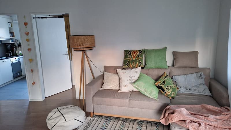 Nachmieter für zentral gelegene 3.5 Zimmer Wohnung in Winterthur gesucht (5)