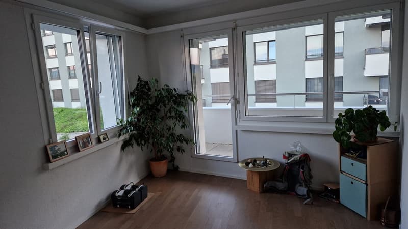 Nachmieter für zentral gelegene 3.5 Zimmer Wohnung in Winterthur gesucht (8)