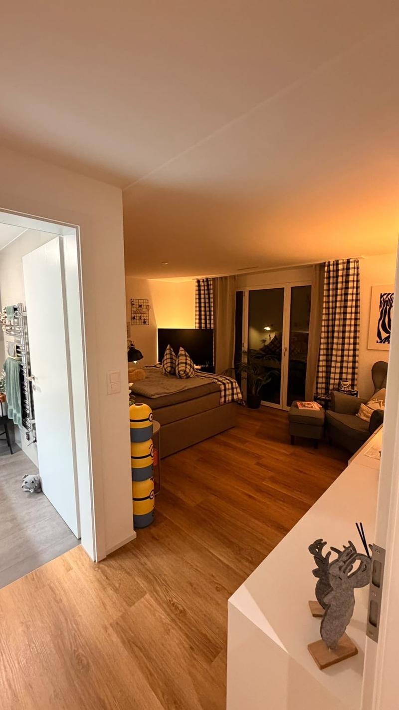 Wunderschöne 4,5 Zimmerwohnung zu vermieten (4)