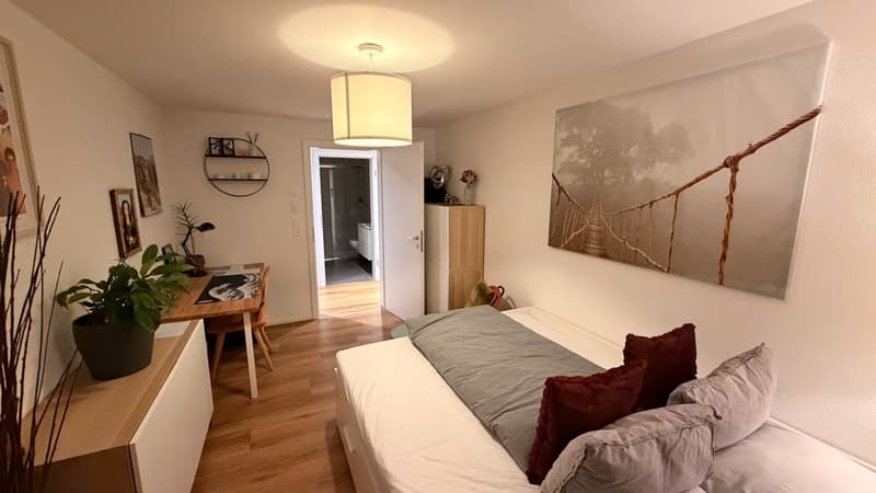 Wunderschöne 4,5 Zimmerwohnung zu vermieten (9)