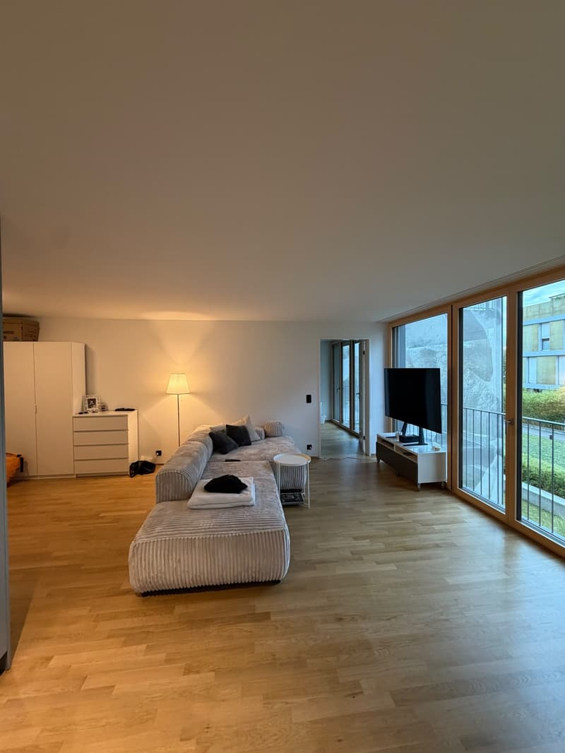 Helle 2.5-Zimmer-Wohnung direkt am Eulachpark (8)