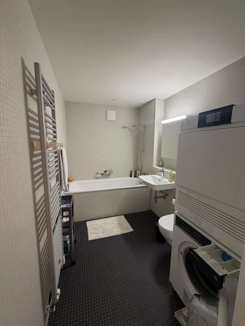 Helle 2.5-Zimmer-Wohnung direkt am Eulachpark (7)