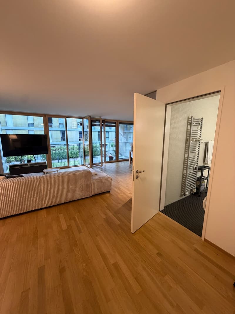 Helle 2.5-Zimmer-Wohnung direkt am Eulachpark (6)