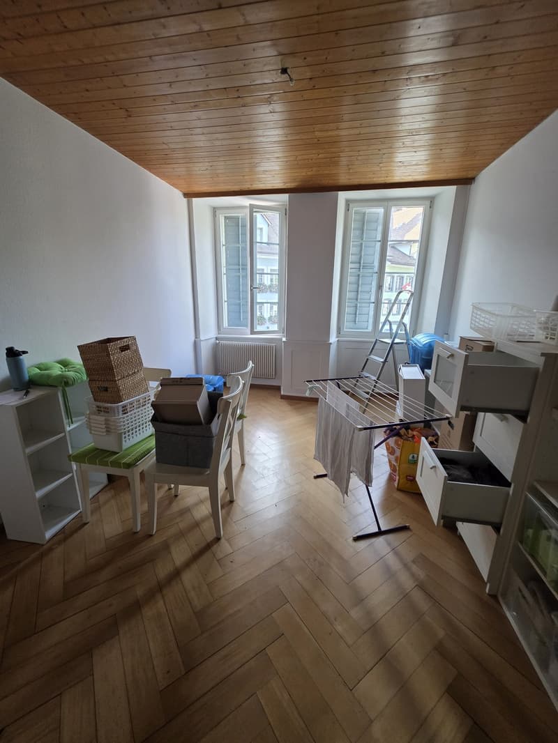 2 ½ Zimmer-Wohnung, 4663 Aarburg (2)