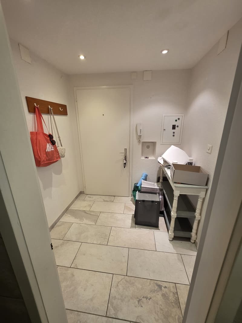 2 ½ Zimmer-Wohnung, 4663 Aarburg (8)