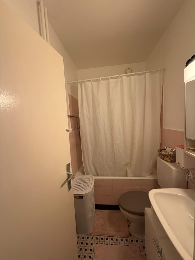 Appartement lumineux de 2,5 pièces à loue (5)
