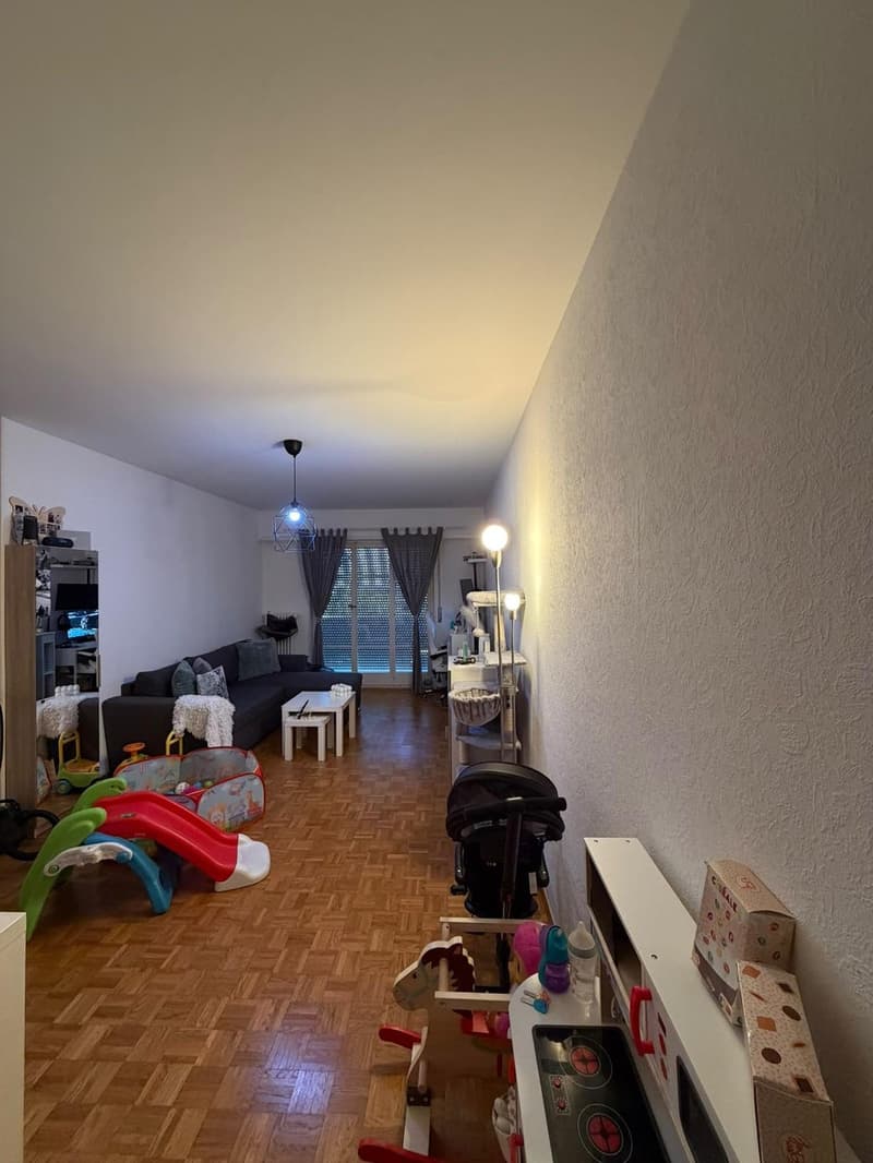 Appartement lumineux de 2,5 pièces à loue (3)