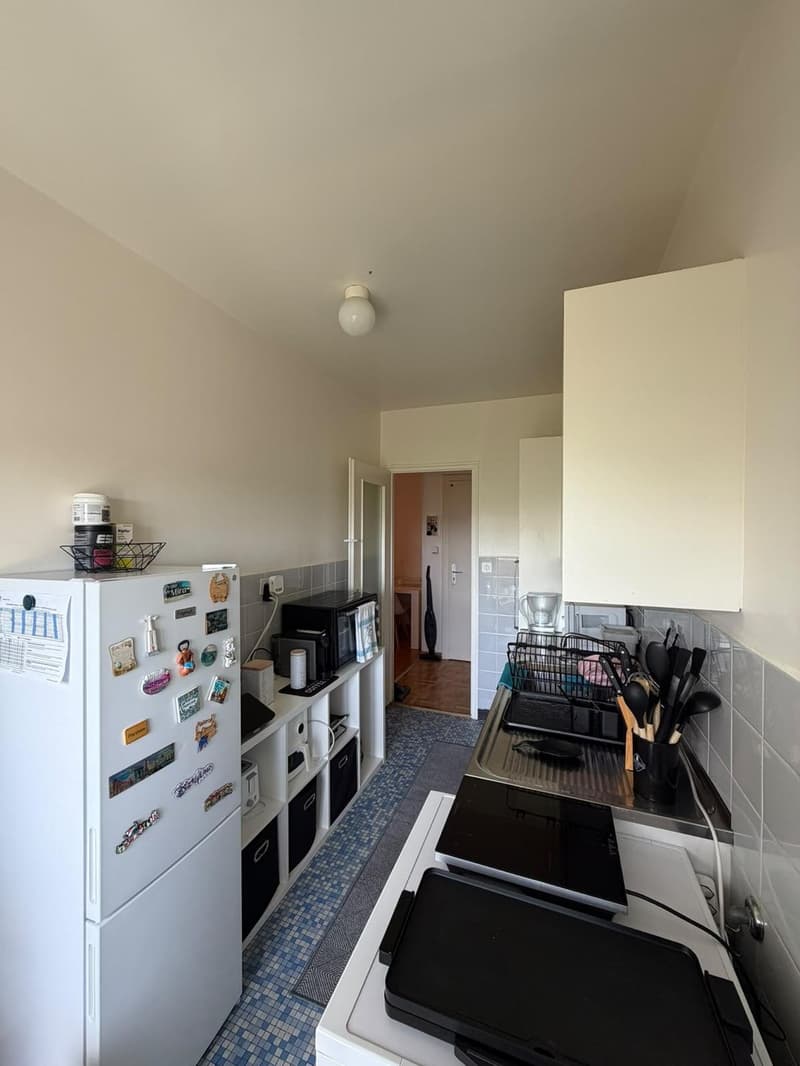 Appartement lumineux de 2,5 pièces à loue (2)