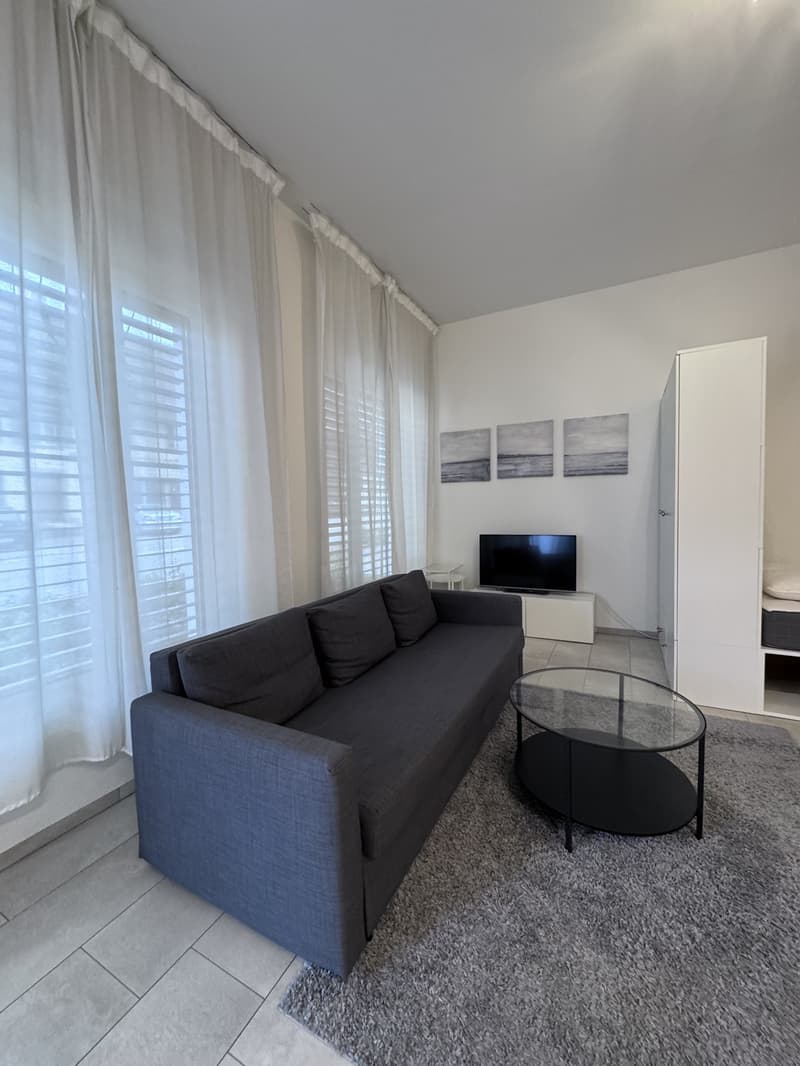 Helle, komplett möblierte 1.5-Zimmer-Wohnung im Parterre (3)