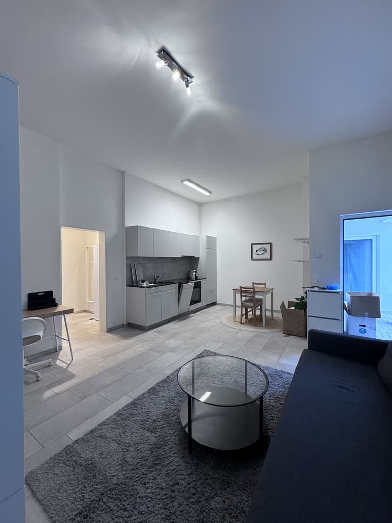 Helle, komplett möblierte 1.5-Zimmer-Wohnung im Parterre (2)