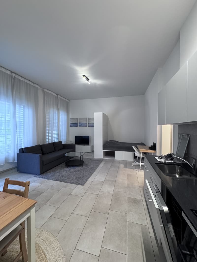 Helle, komplett möblierte 1.5-Zimmer-Wohnung im Parterre (1)