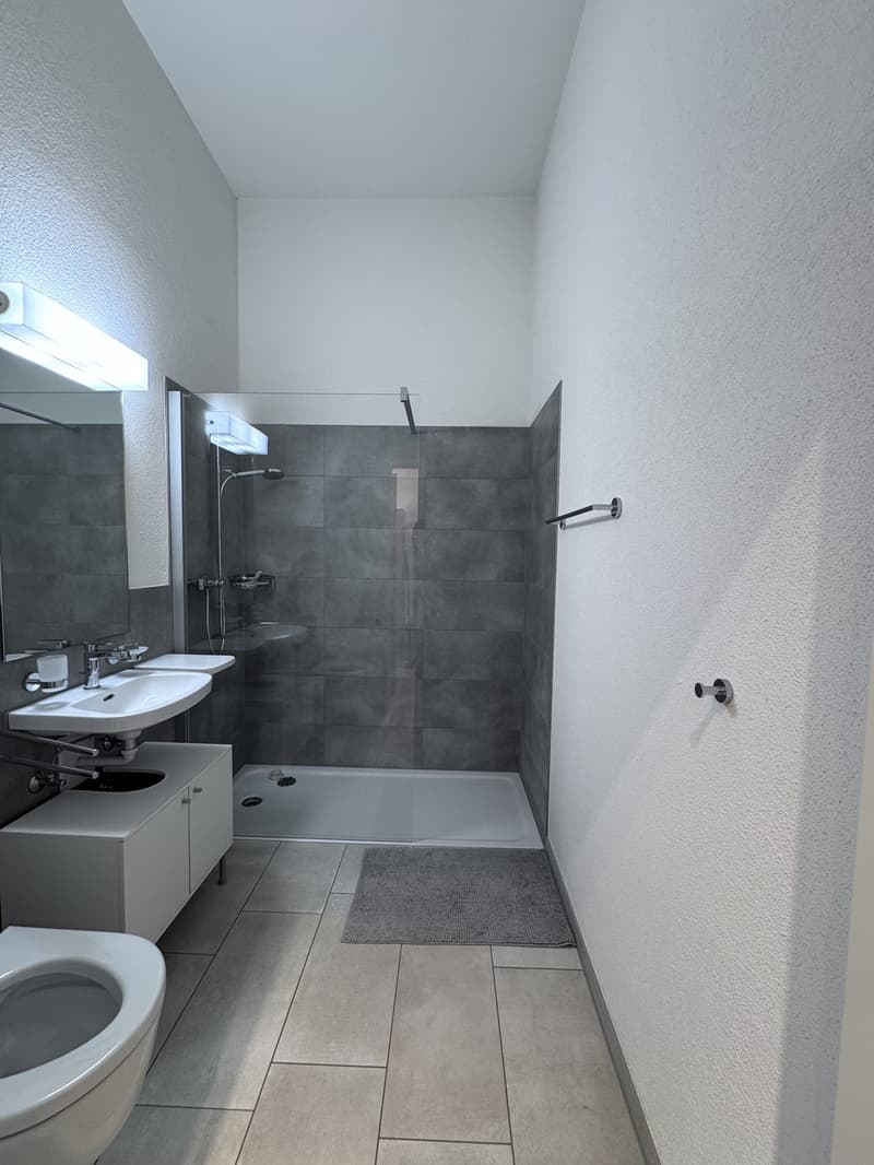 Helle, komplett möblierte 1.5-Zimmer-Wohnung im Parterre (4)